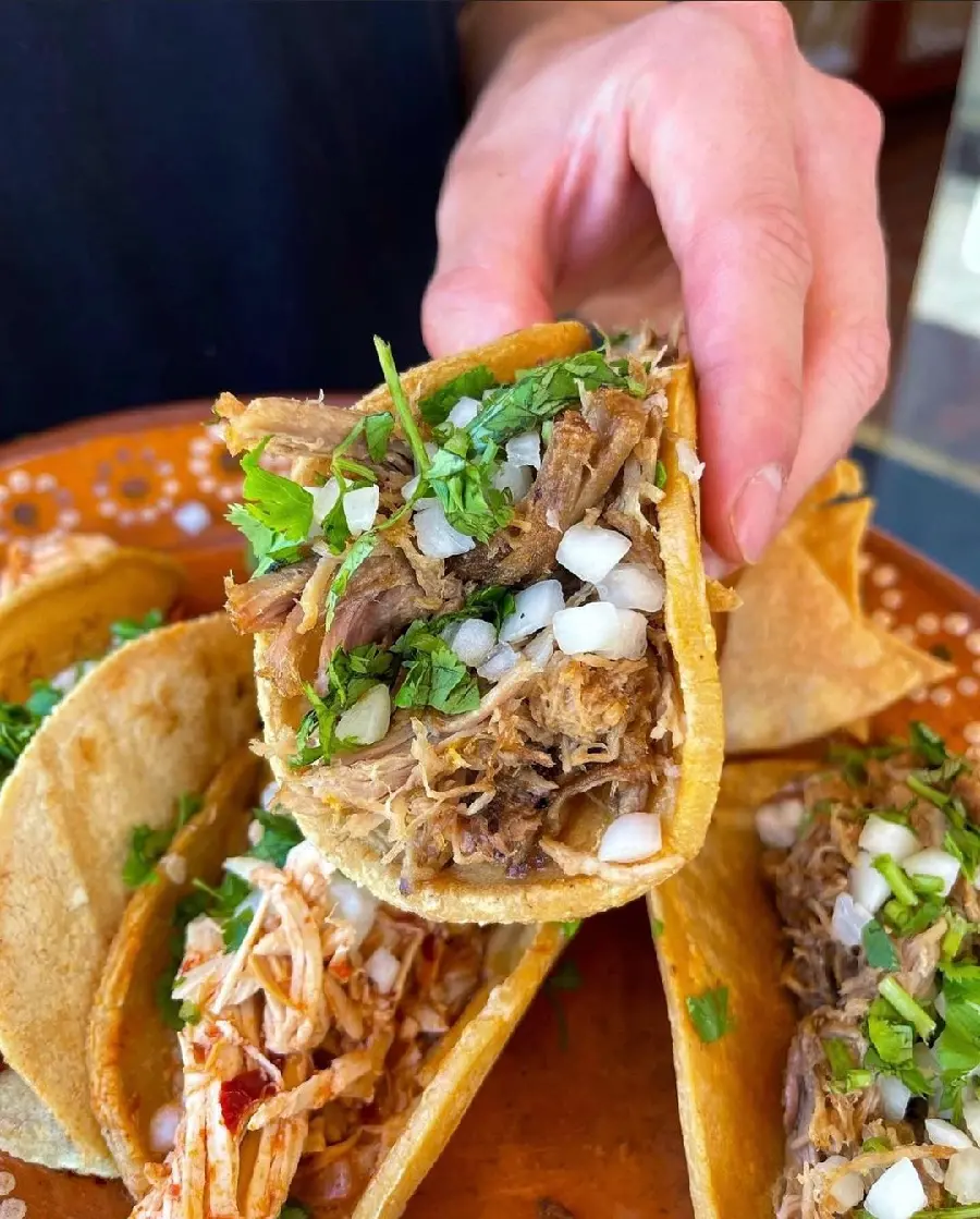 High Quality Meat Taco Photo