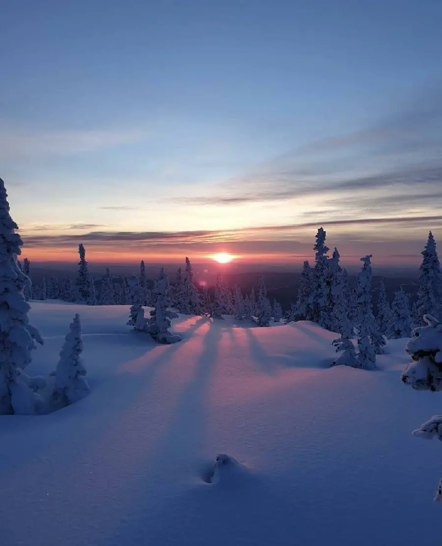 Cool Winter Nature Wallpaper in High Quality