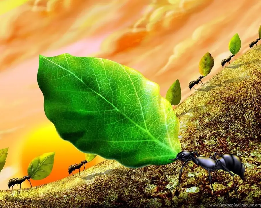 Ant Drawing Artistic Representation for Inspiration