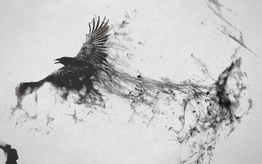 Flying Crow Artistic Drawing Illustration