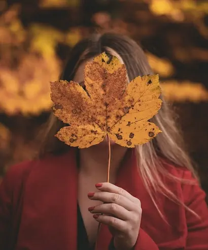 High resolution autumn leaves girl photography premium
