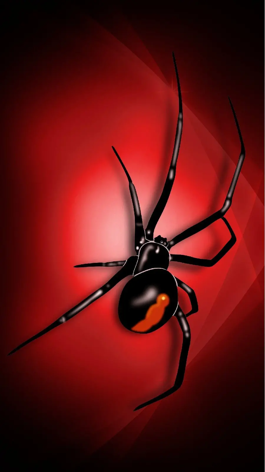 Red and Black Spider Photo Featuring Vivid Colors and Patterns