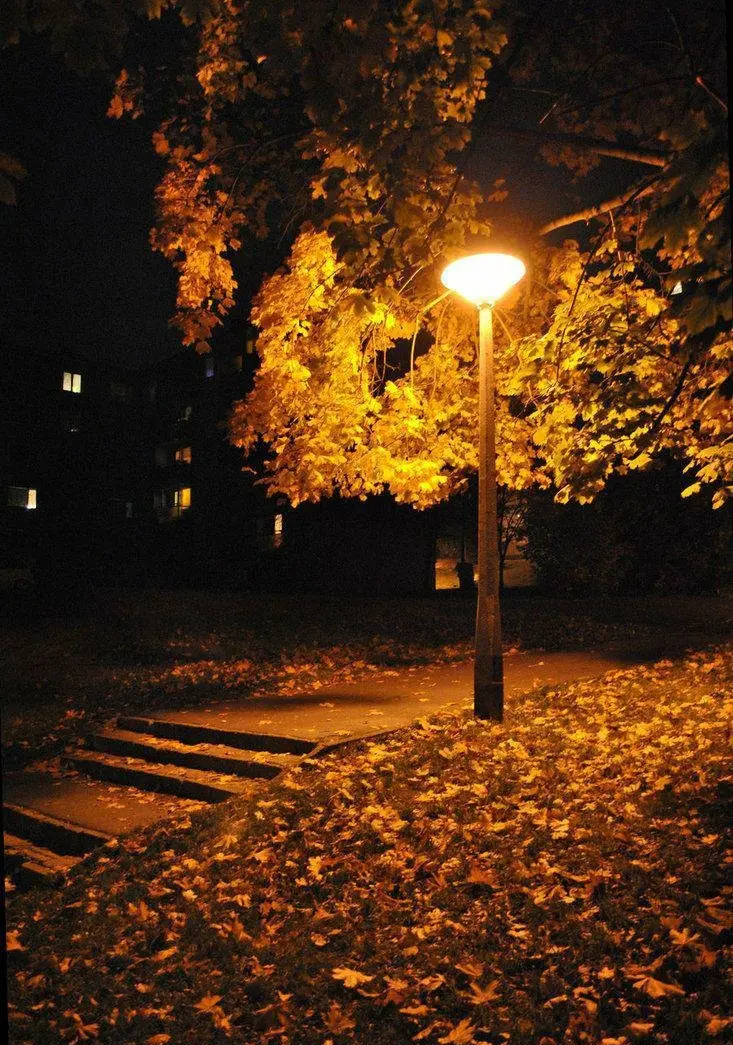Dreamy autumn nights photography with magical atmosphere