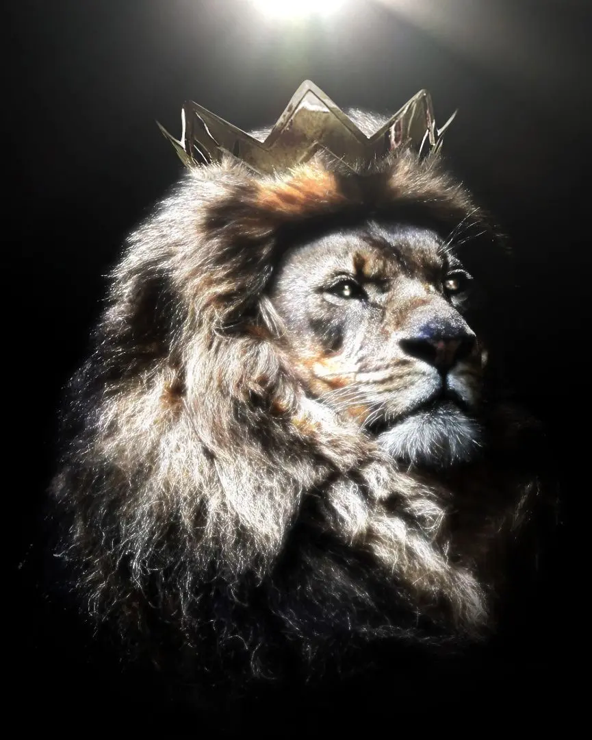 Awesome Crowned Lion Profile Picture