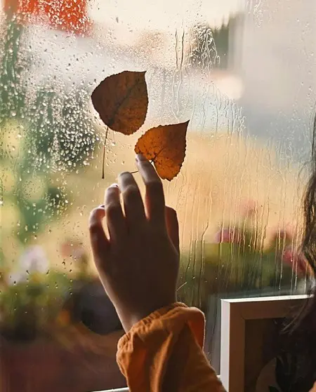 HD autumn rain profile picture for social media accounts