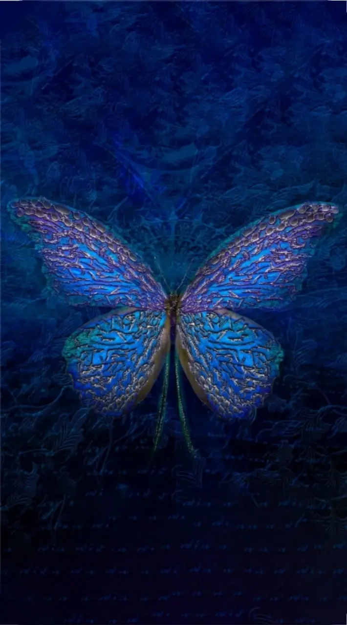 Beautiful Fantasy Butterfly HD Wallpaper