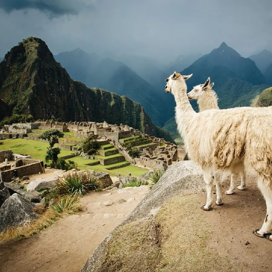 Download Machu Picchu City Photo