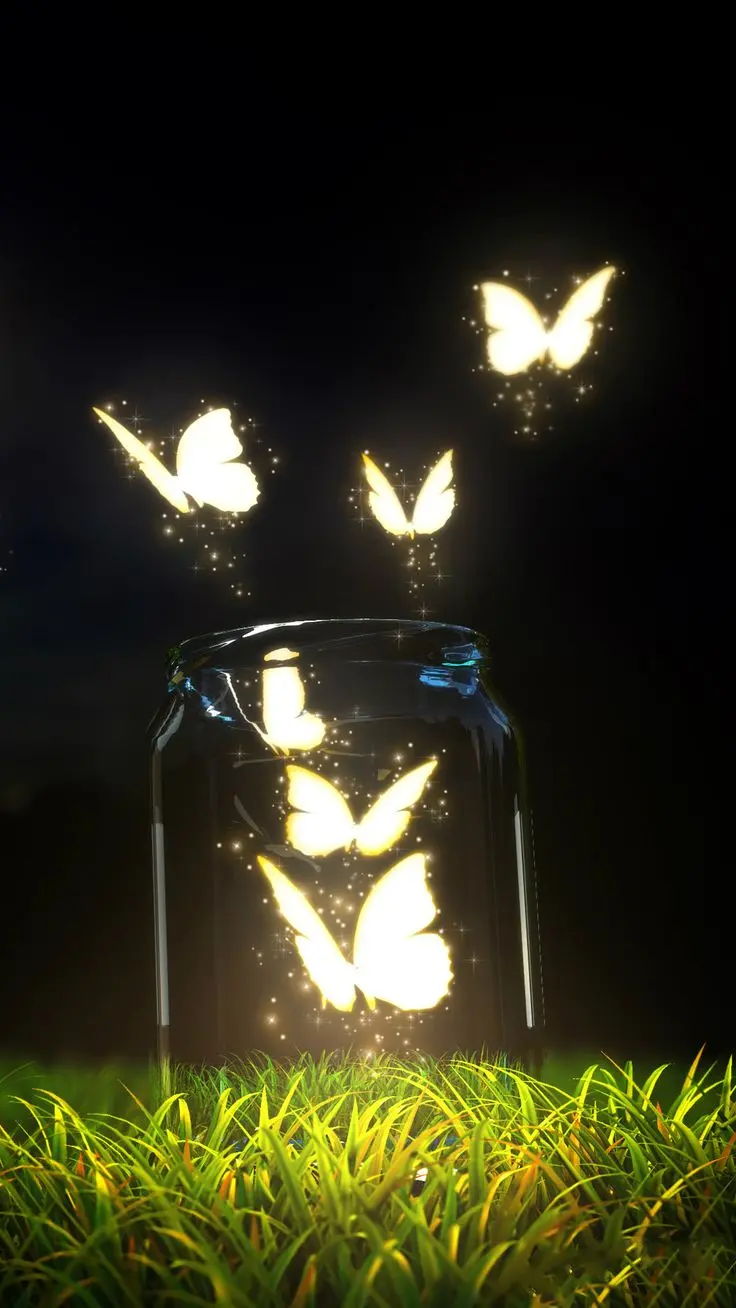 Fantasy Moth Profile Picture HD Quality