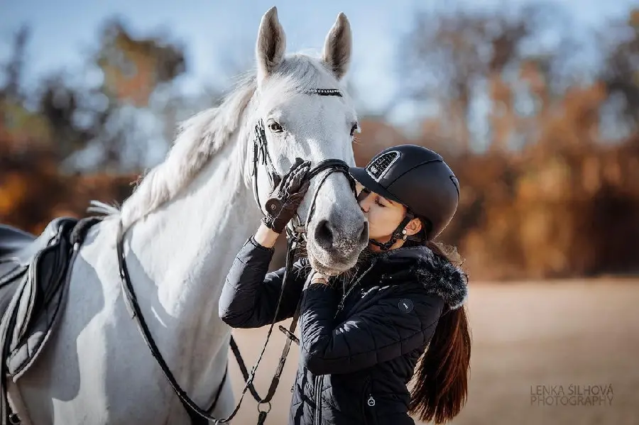 Attractive Photo of a White Horse with a Female Rider