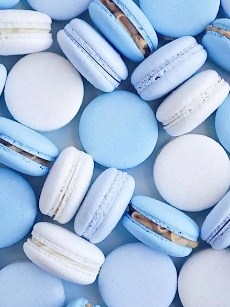 Download blue macarons wallpaper