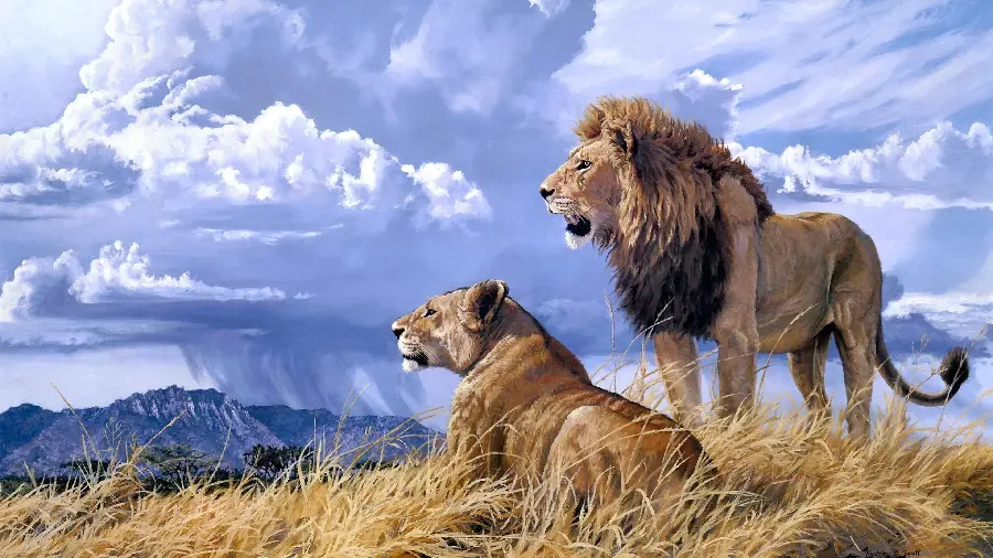 Beautiful Male and Female Lion Photo in the Wild