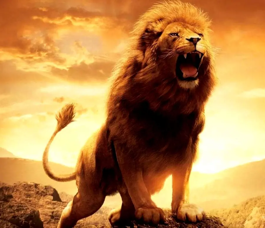 Epic Lion Profile Photos in HD