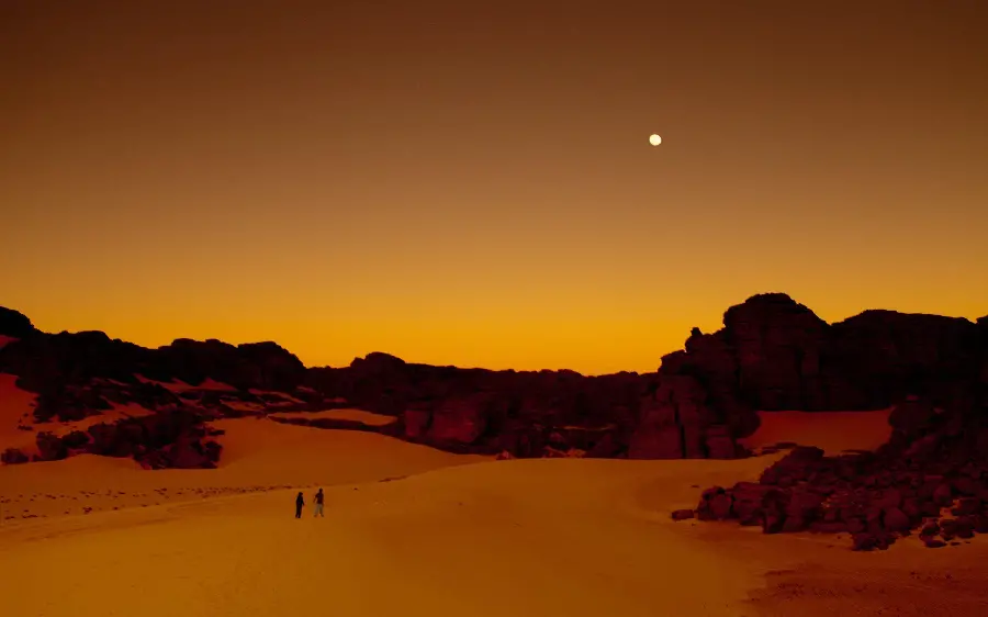 High Quality Desert Night Background