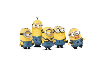 Download Minions animation wallpaper in HD for Instagram stories