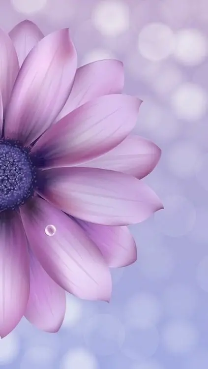 Lilac flower background for devices in high quality HD