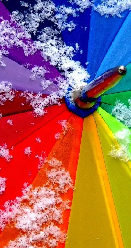 Umbrella Day Image in Ancient Artifacts of Egypt