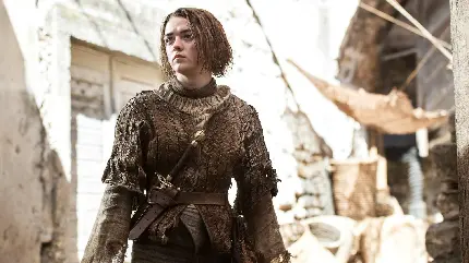 Maisie Williams award nominee and winner in high quality