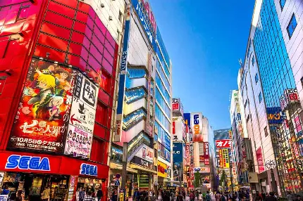 Akihabara Street and District in Japan