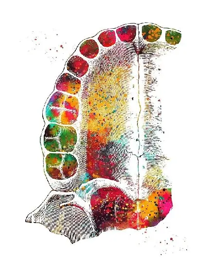 Superb Quality Tooth Image for World Toothache Day