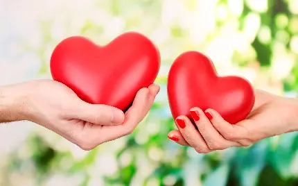 Romantic emotional couple heart photo for matching profiles