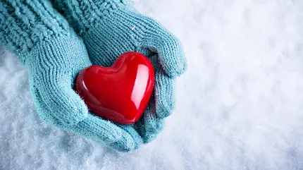 Download Red Heart in Winter Cold Images for Profiles