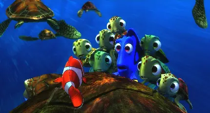 Full HD Finding Nemo Animation Photo