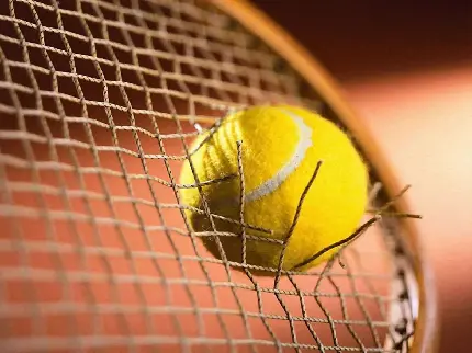 Attractive and fascinating tennis ball image for World Tennis Day