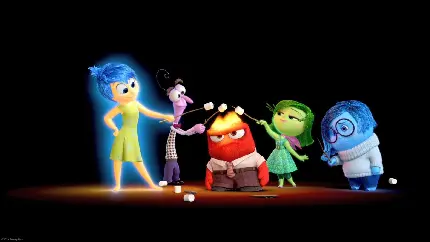 Inside Out Cartoon Images Based on Director's Personal Experience
