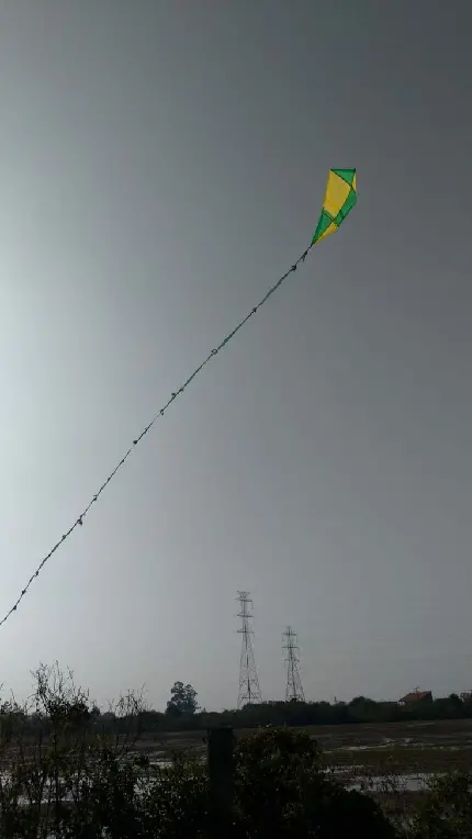 High Quality Kite Photo for International Kite Day