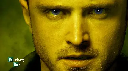 Jesse Pinkman Breaking Bad Photo