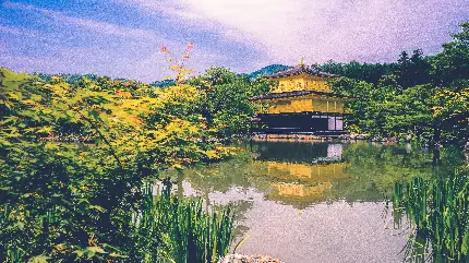 Pagoda Temple Photos with Multi-tiered Roofs Wallpapers