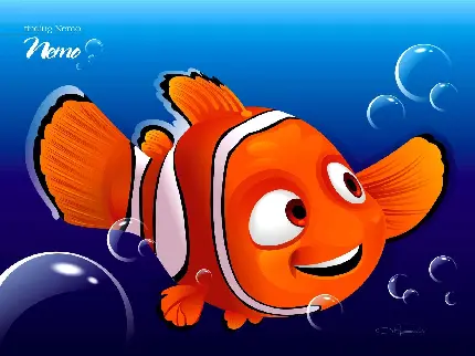 Finding Nemo Animation Image