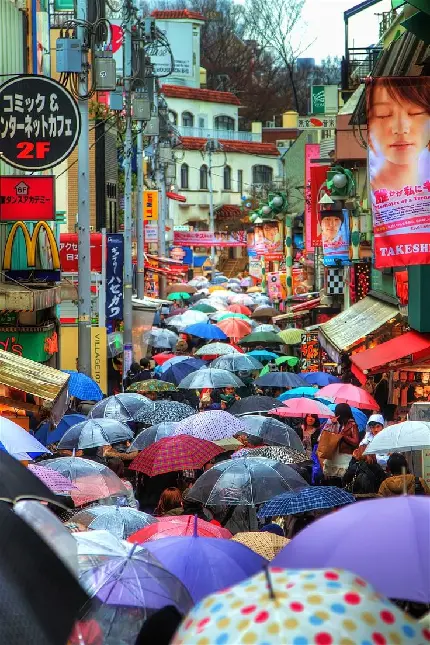 Umbrella Day Image for Essential Weather Protection