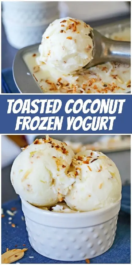 Download Frozen Yogurt Photo for International Froyo Day