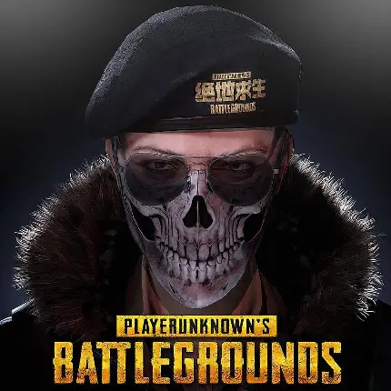 Cool and unique PUBG profile pictures and backgrounds in HD