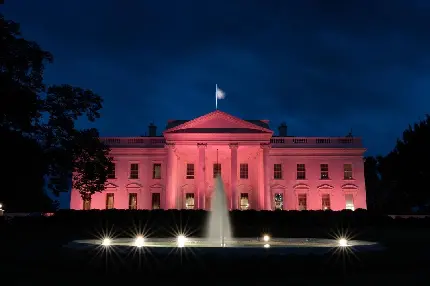 White House at Night HD Photo Download