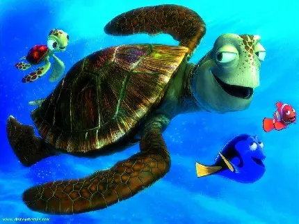 Finding Nemo Animation Photo with Human Humor in High Quality