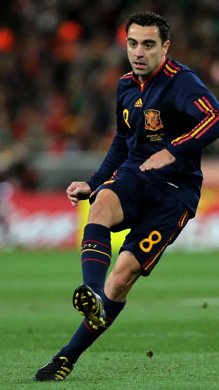 Xavi Hernandez Creus Euro 2012 champion HD photo