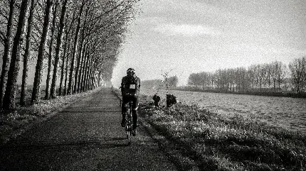 Black and White Cycling in Nature Desktop Wallpaper