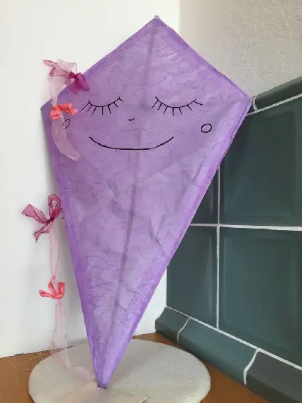Best Quality Kite Photo for World Kite Flying Day