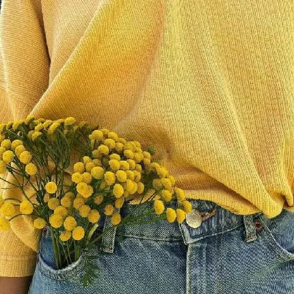 Download girly yellow profile picture in best quality