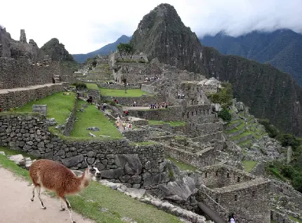Download Machu Picchu Photo in Peru