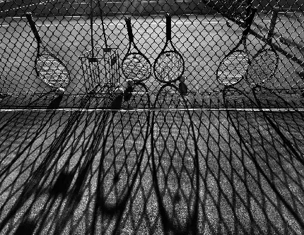 Black and white tennis rackets on court image with best quality