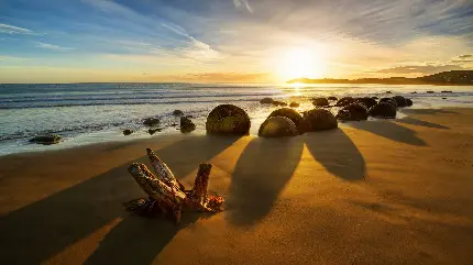 Image of New Zealand beach at sunset