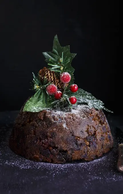 Professionally decorated plum pudding photo for World Plum Pudding Day
