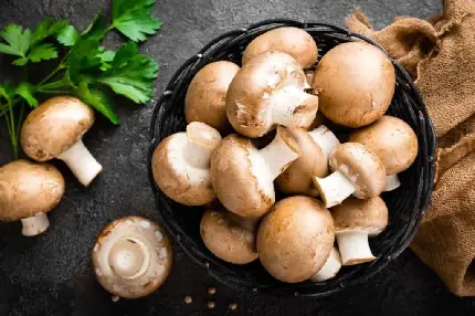 Crimini Mushroom Photo Golden Italian
