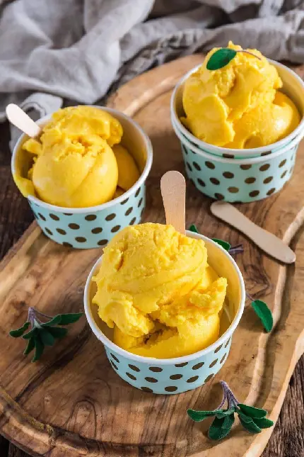 Healthy Ice Cream Alternative Frozen Yogurt Photo