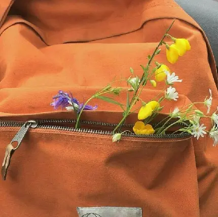 Orange handbag photo for special social media profiles