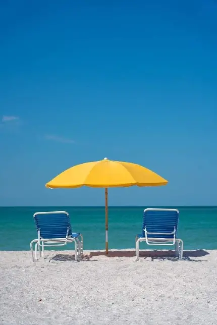Full HD Images Celebrating National Umbrella Day