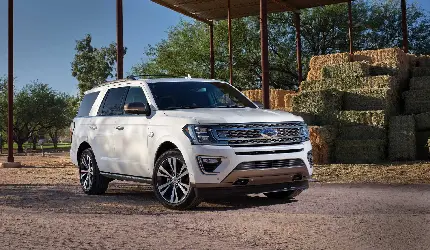 White 2021 Ford Expedition New Model Photo